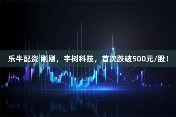 乐牛配资 刚刚，宇树科技，首次跌破500元/股！