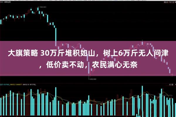 大旗策略 30万斤堆积如山，树上6万斤无人问津，低价卖不动，农民满心无奈