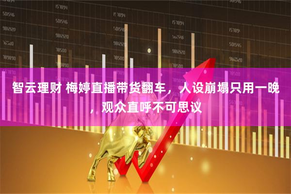 智云理财 梅婷直播带货翻车，人设崩塌只用一晚，观众直呼不可思议